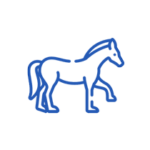 Horse Name Generator